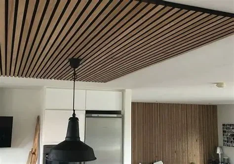 Panel de techo acústico